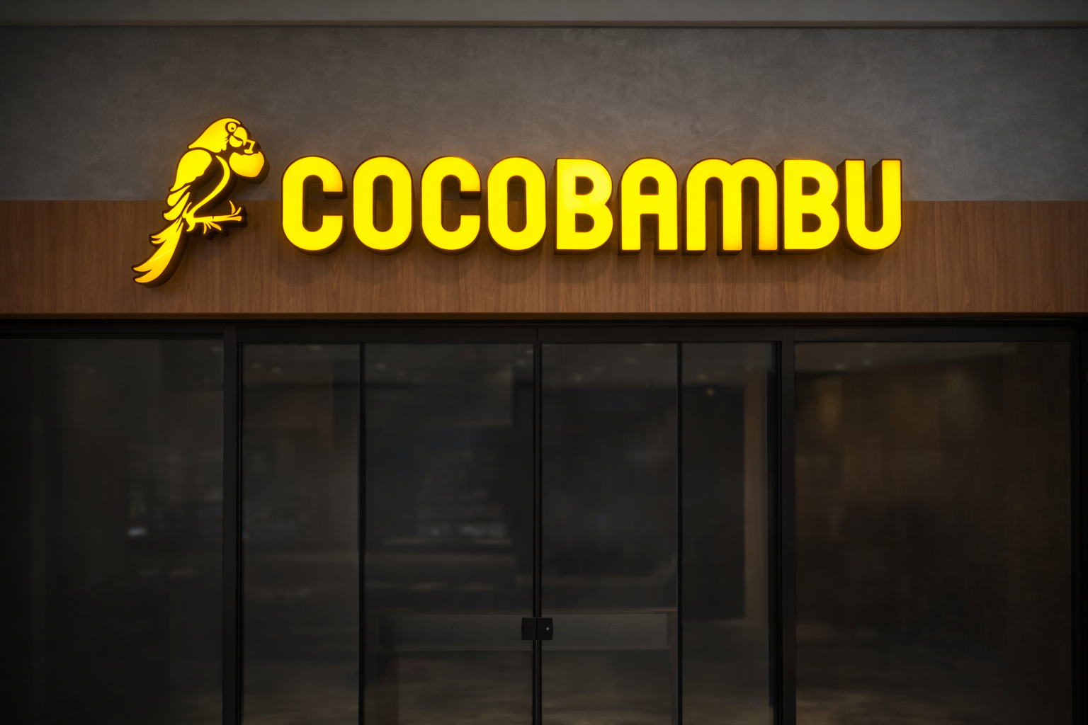 ChatGPT Image 6 de fev. de 2026, 11_36_24