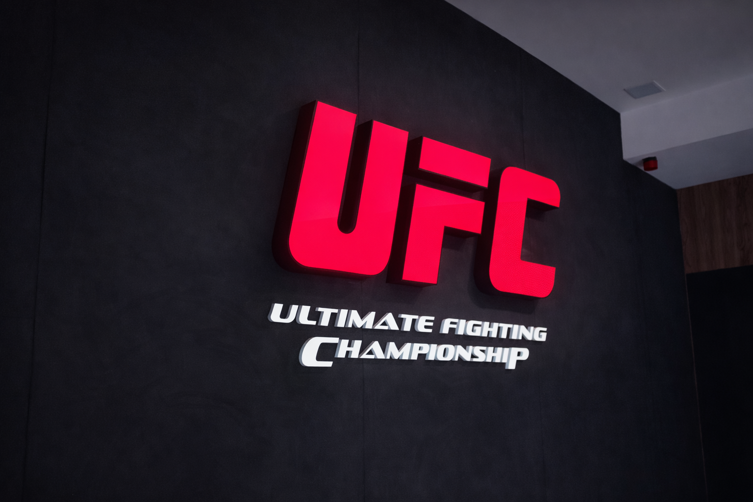 ChatGPT Image 6 de fev. de 2026, 11_36_45