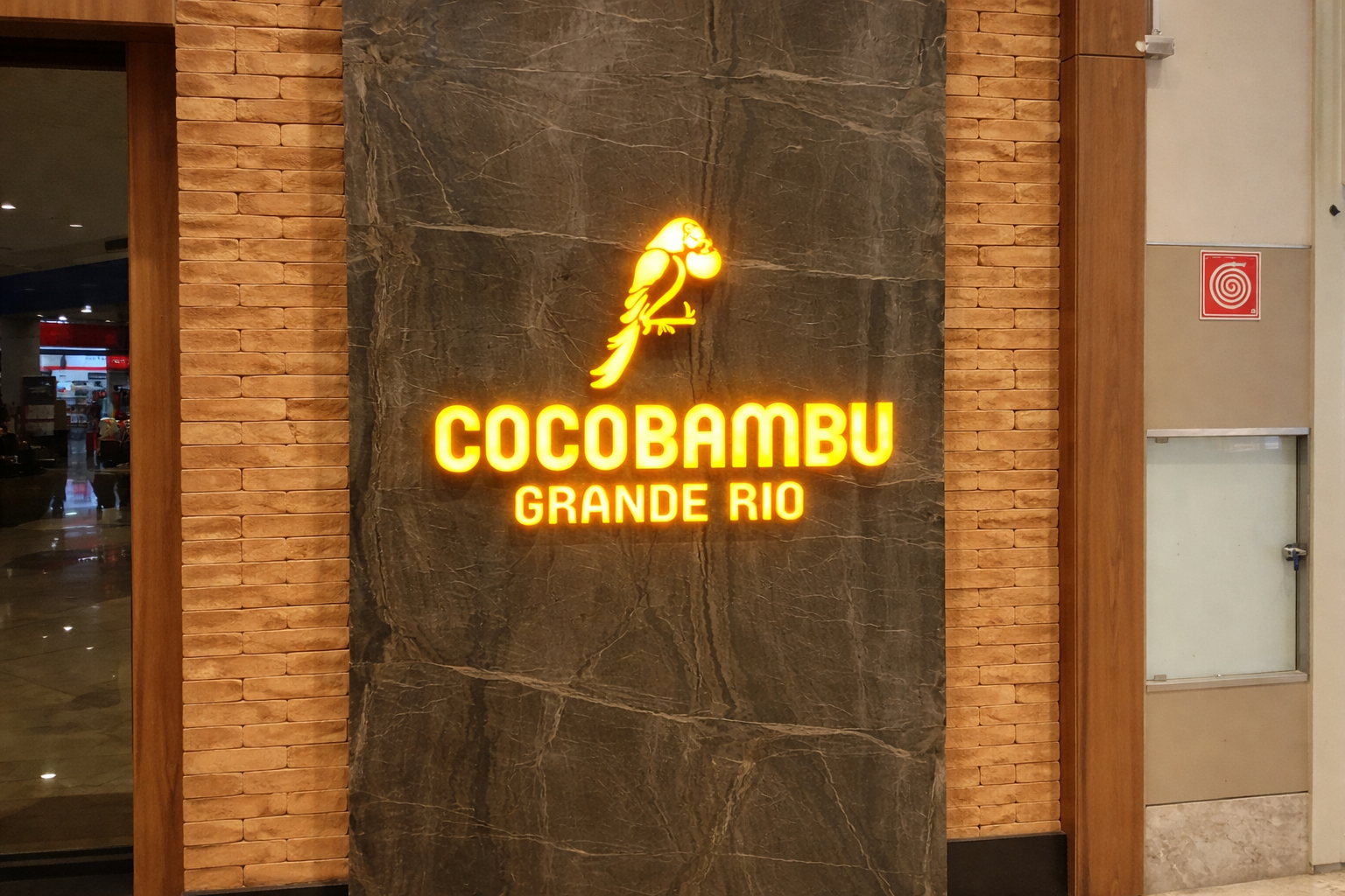 ChatGPT Image 6 de fev. de 2026, 11_36_52